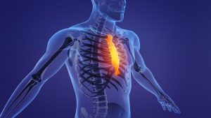 Sacramento Lawyers for Chest and Rib Injuries from Car Accidents
